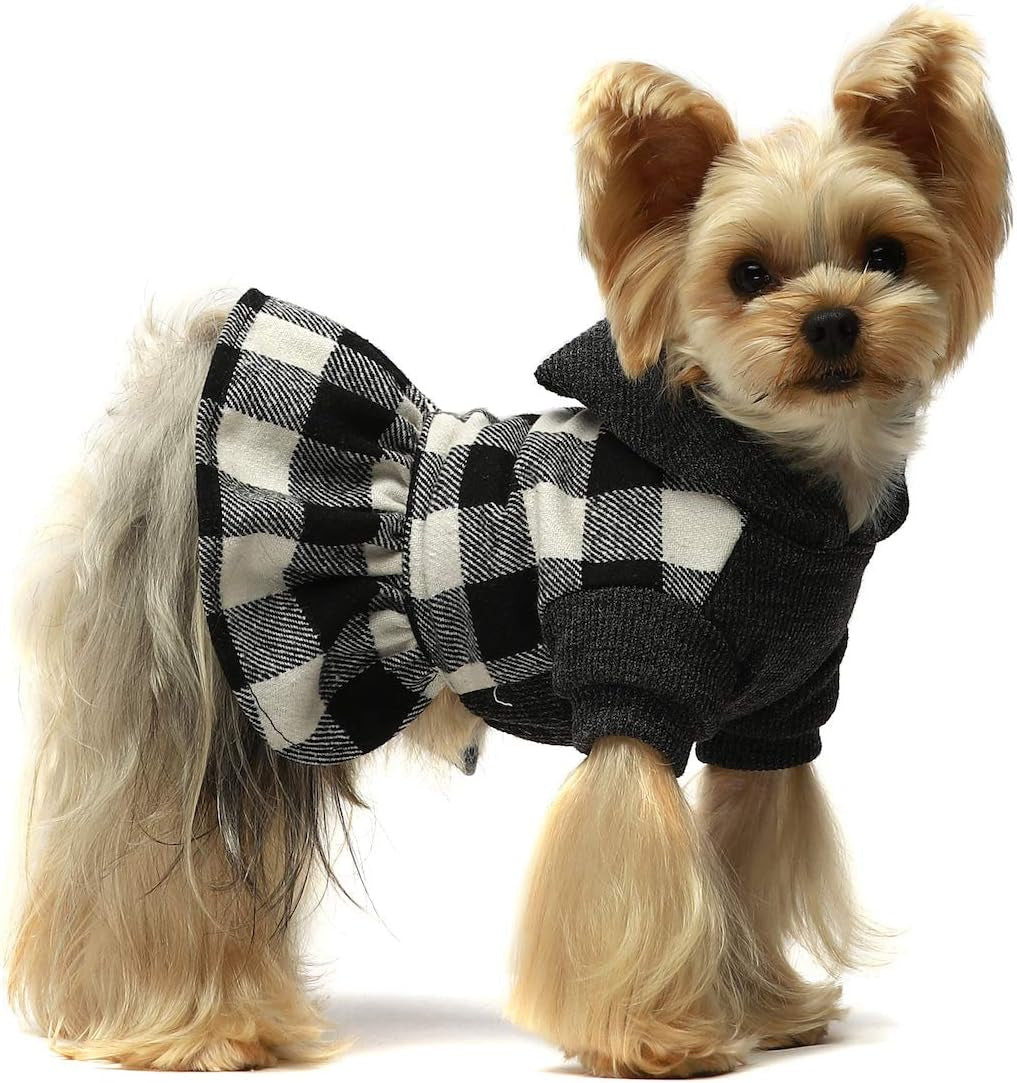 Pet Treats & Accessories