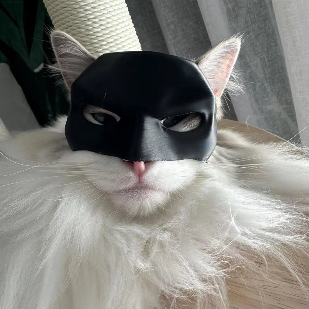 Cool Cat Bat Mask - Superhero Costume for Cats - Perfect for Halloween & Playtime!