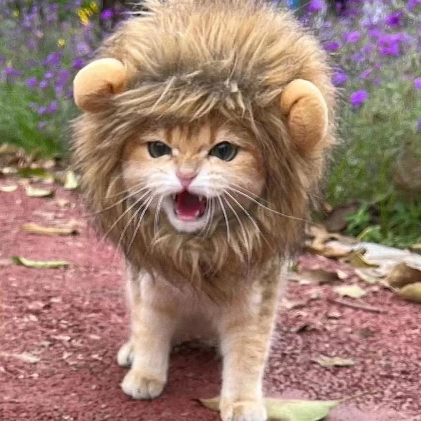 Adorable Lion Mane Costume Hat for Cats and Dogs - Fun Wig with Ears for Parties and Cosplay
