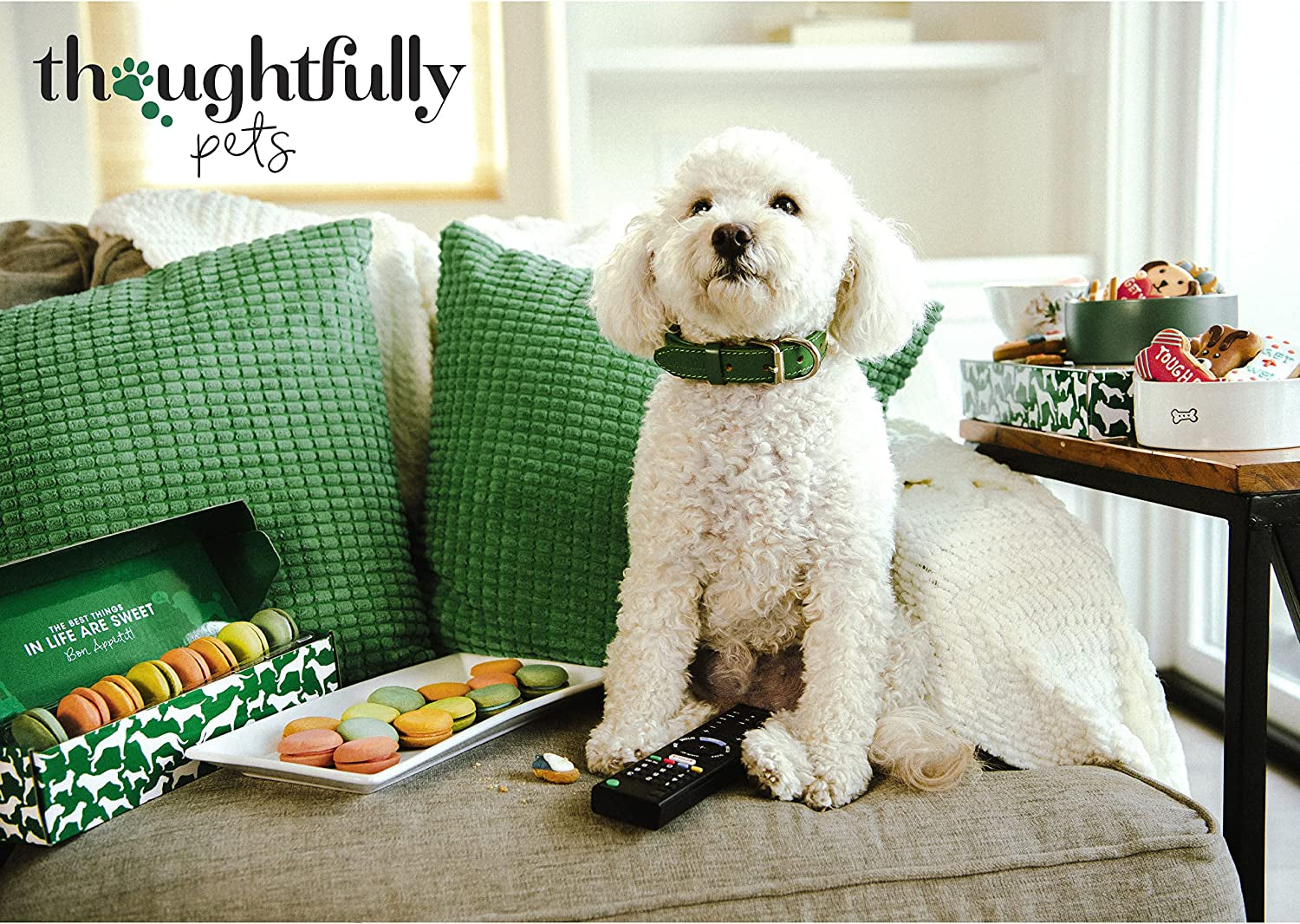 Pets, Holiday Dog Gourmet Cookies Gift Set, Hand Decorated and Human Grade Ingredients, Crunchy Dog Biscuit Variety Pack Includes Bone Shaped Holiday Themes, 8 Piece Set
