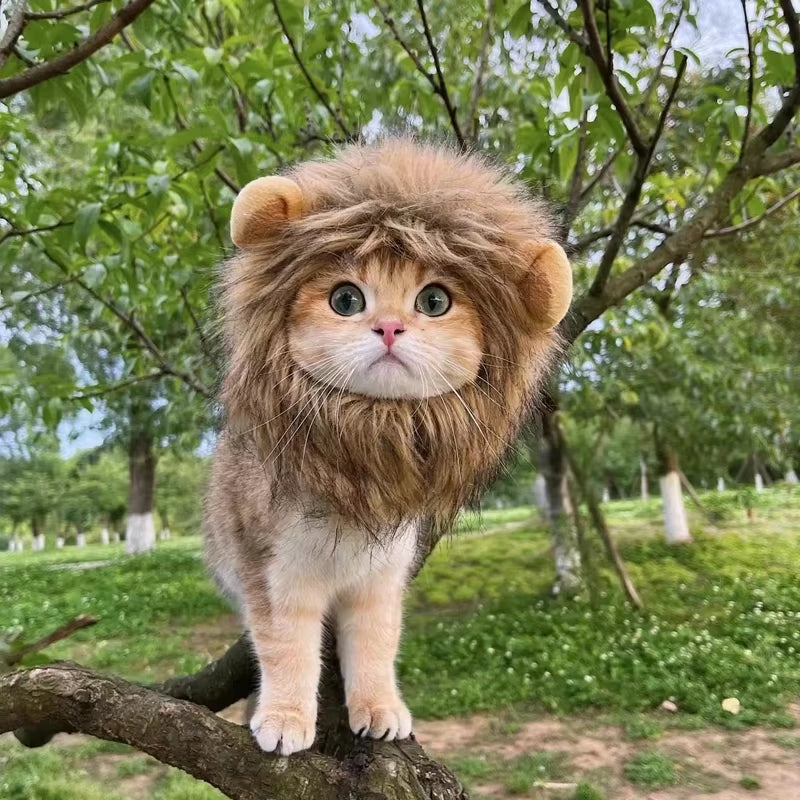 Adorable Lion Mane Costume Hat for Cats and Dogs - Fun Wig with Ears for Parties and Cosplay