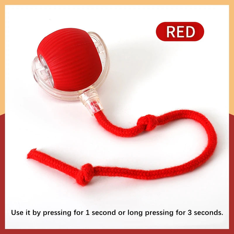 Interactive Smart Dog Toy Ball - Automatic USB Bouncing Pet Play Ball for Puppies & Cats - Perfect Birthday Gift!