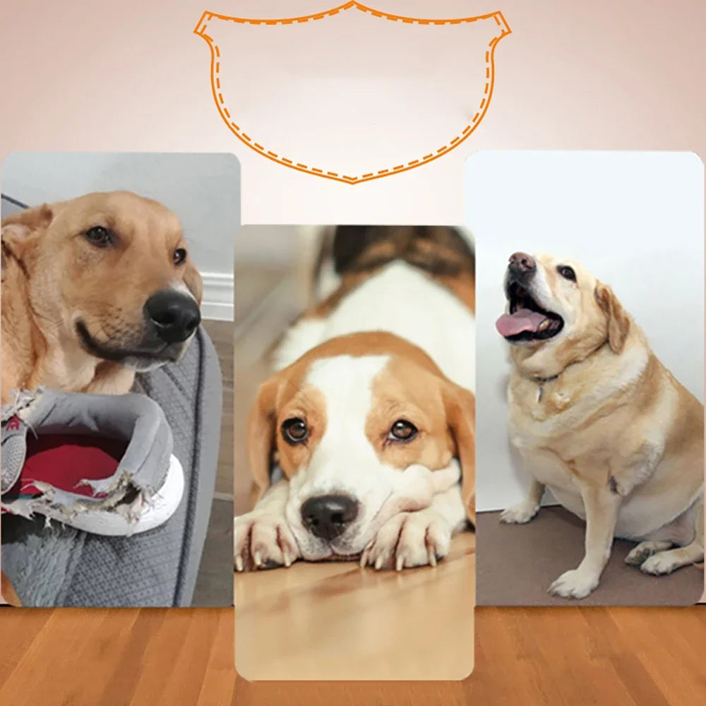 Automatic Dog Ball Launcher - Fun & Engaging Pet Toy with 3 Distance Settings for Dogs and Cats