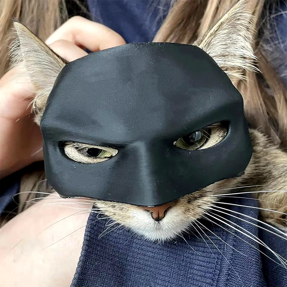 Cool Cat Bat Mask - Superhero Costume for Cats - Perfect for Halloween & Playtime!