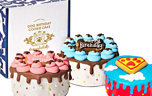 Pets, Girl, Boy, & Superhero Dog Happy Birthday Mini Cookie Cake, Blue, Peanut Butter Flavored, Hand Decorated Hollow Biscuit Cake for All Dog Breeds