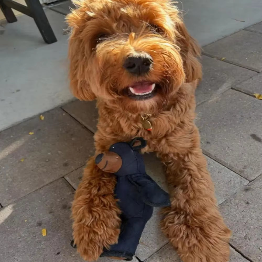 Indestructible Bear Dog Toy - Ultimate Squeaky Companion for Heavy Chewers!