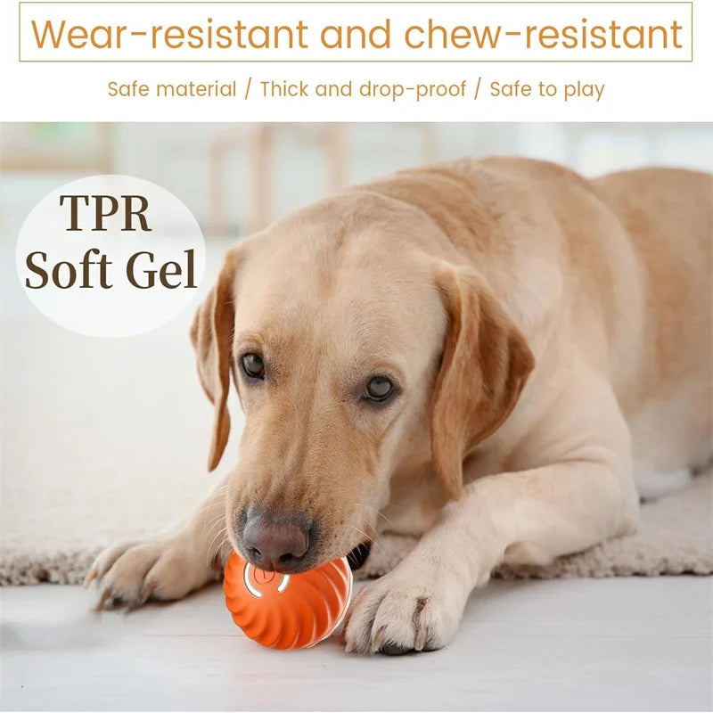 Interactive Smart Dog Toy Ball - Automatic USB Bouncing Pet Play Ball for Puppies & Cats - Perfect Birthday Gift!