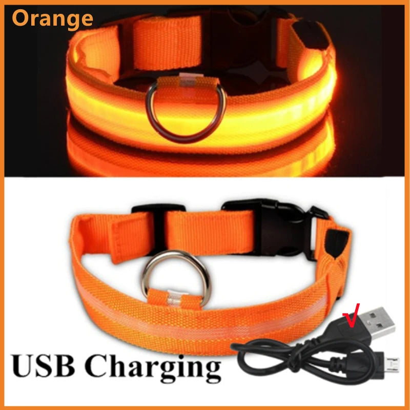Adjustable LED Glowing Dog Collar - Rechargeable Flashing Light Harness for Night Safety - Perfect for Small Dogs