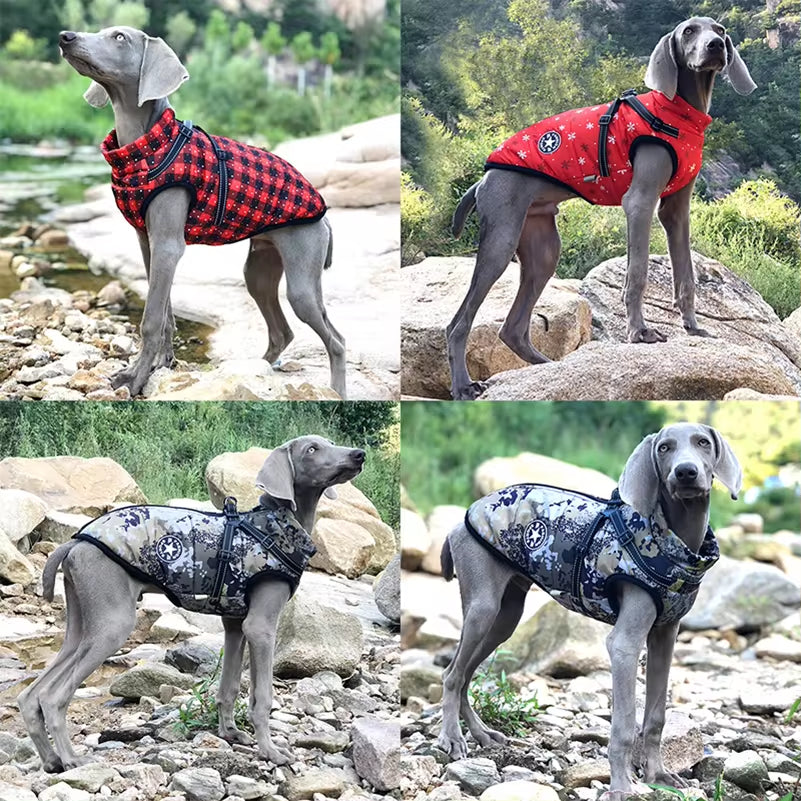 Cozy Waterproof Fleece Jacket for Small Dogs - Warm Pet Coat with Harness for Chihuahuas & Puppies