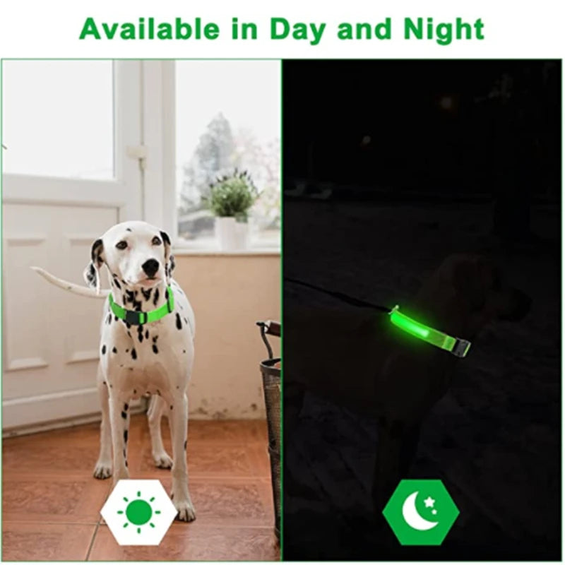 Adjustable LED Glowing Dog Collar - Rechargeable Flashing Light Harness for Night Safety - Perfect for Small Dogs