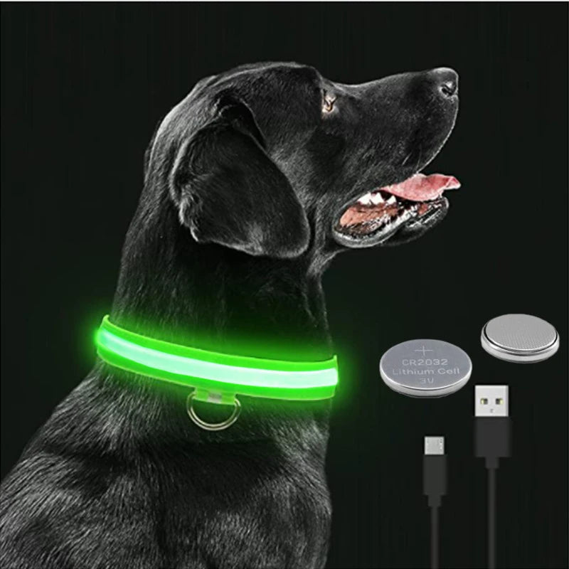 Adjustable LED Glowing Dog Collar - Rechargeable Flashing Light Harness for Night Safety - Perfect for Small Dogs