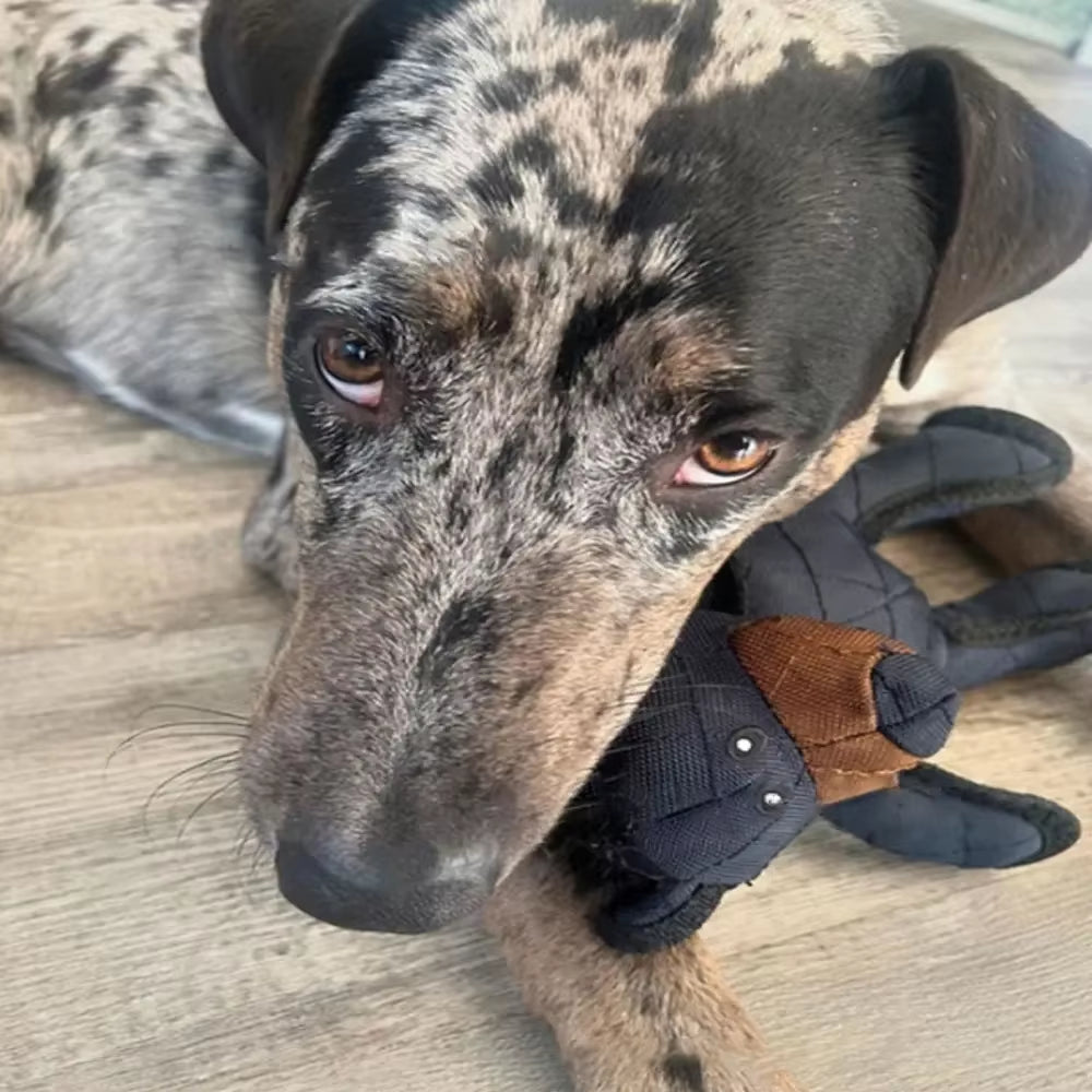 Indestructible Bear Dog Toy - Ultimate Squeaky Companion for Heavy Chewers!