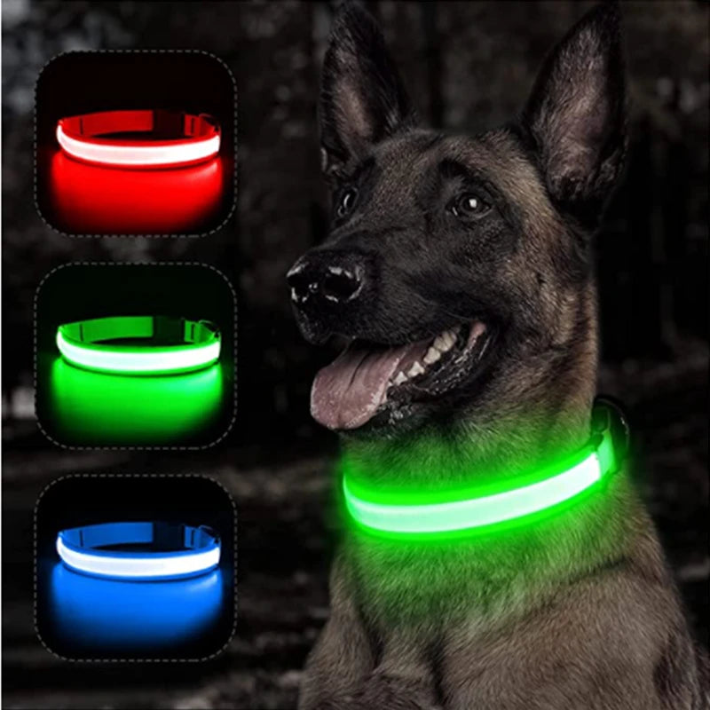 Adjustable LED Glowing Dog Collar - Rechargeable Flashing Light Harness for Night Safety - Perfect for Small Dogs
